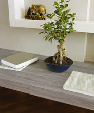 Load image into Gallery viewer, D-C-Fix 346-0587 Self Adhesive Film 17"x78" Oak Pearl Grey