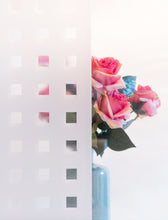 Load image into Gallery viewer, D-C-Fix 338-0010 Caree Static Cling Window Film 17" x 59"
