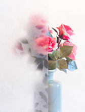 Load image into Gallery viewer, D-C-Fix 338-8027 Spring Static Cling Window Film 26" x 59"