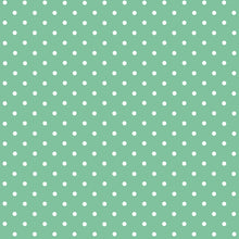 Load image into Gallery viewer, D-C-Fix 346-0648 Self Adhesive Film 17"x78" Peterson Mint